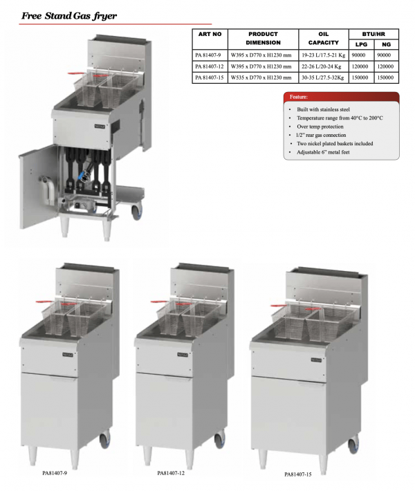 Free Stand Gas fryer - Image 2